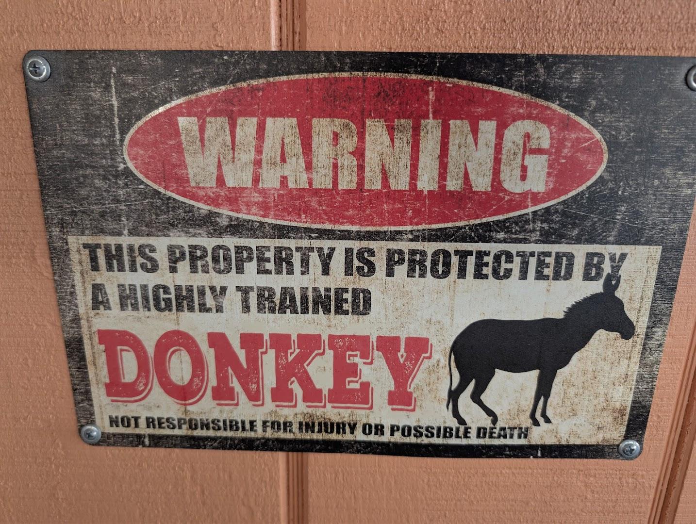 The Salty Donkey